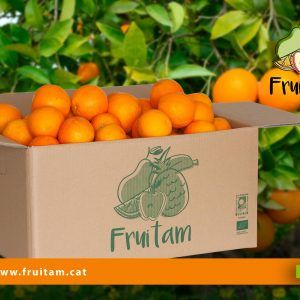 Caixa de 15 kg de taronges ecològiques